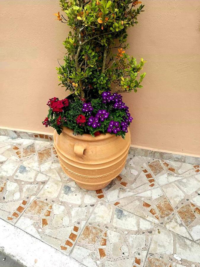 Joy New Port Studio Corfu Town Екстер'єр фото